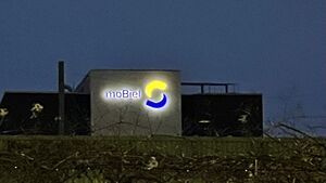 neues moBiel Logo bei Nacht.